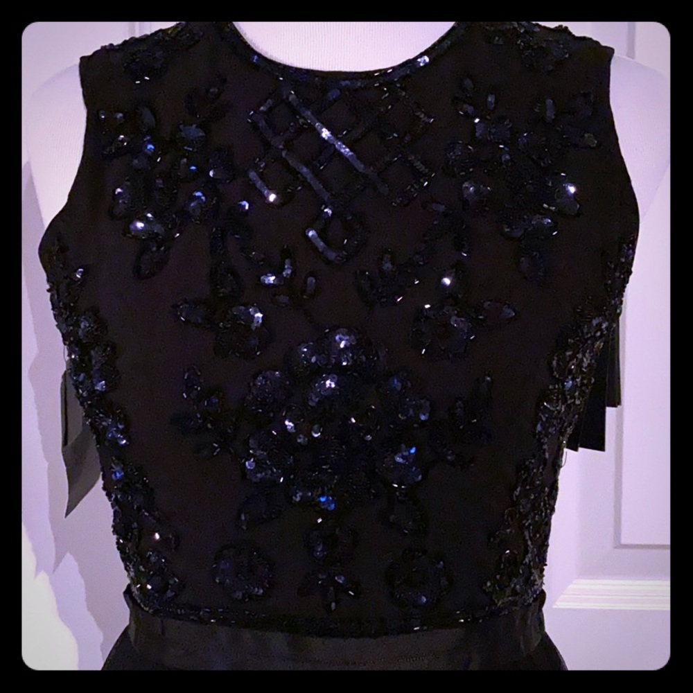 Needle and Thread Sequin and Tuille Dress